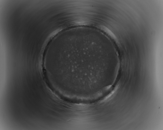 X0000093130930200710031349