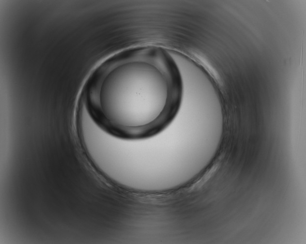 X0000093130932200710031349