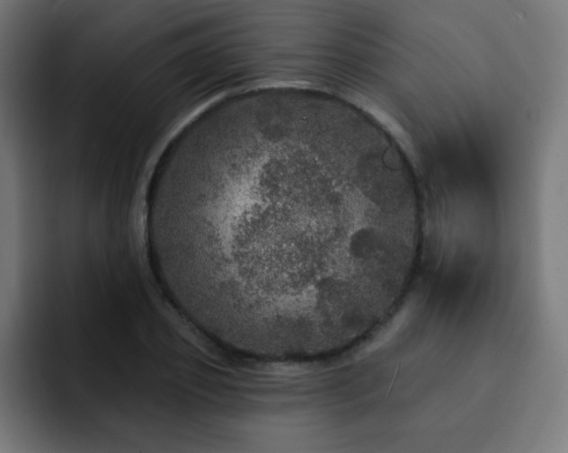 X0000093130933200710031349