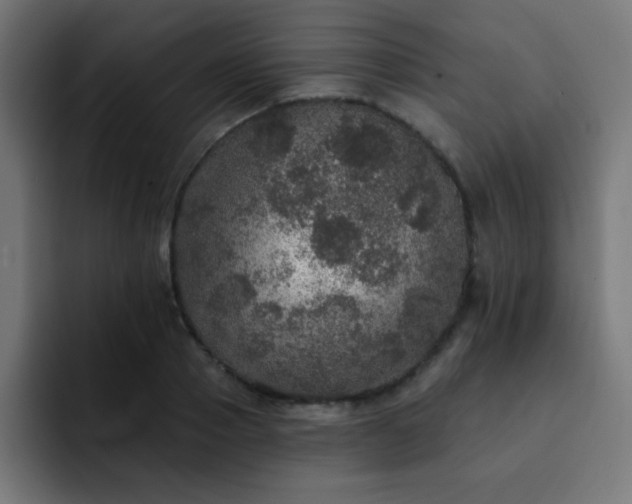X0000093130937200710031349