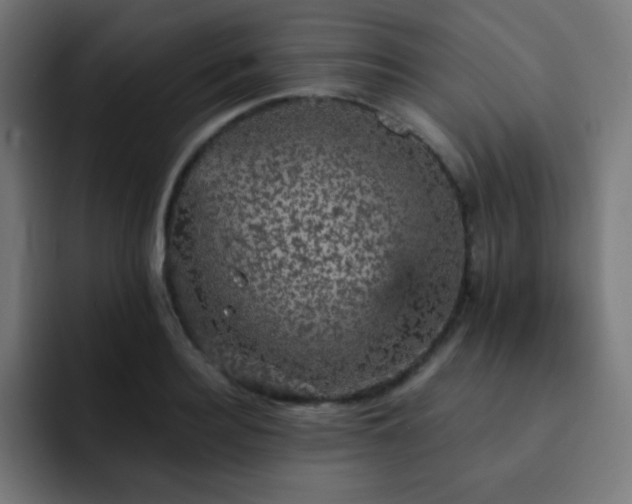 X0000093130940200710031349
