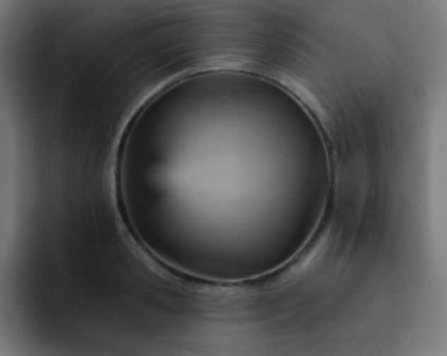 X0000093130941200710031349