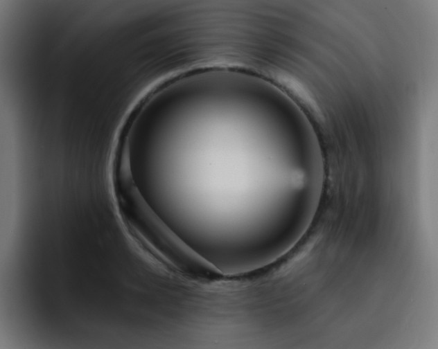 X0000093130942200710031349