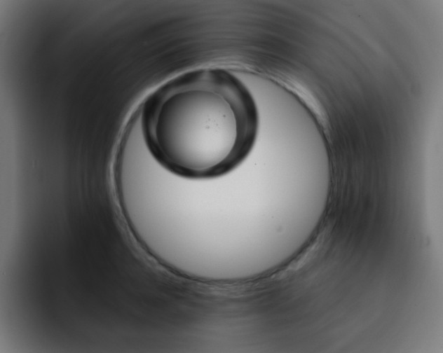 X0000093130944200710031349