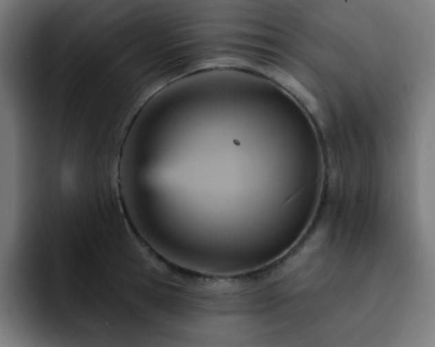 X0000093130945200710031349