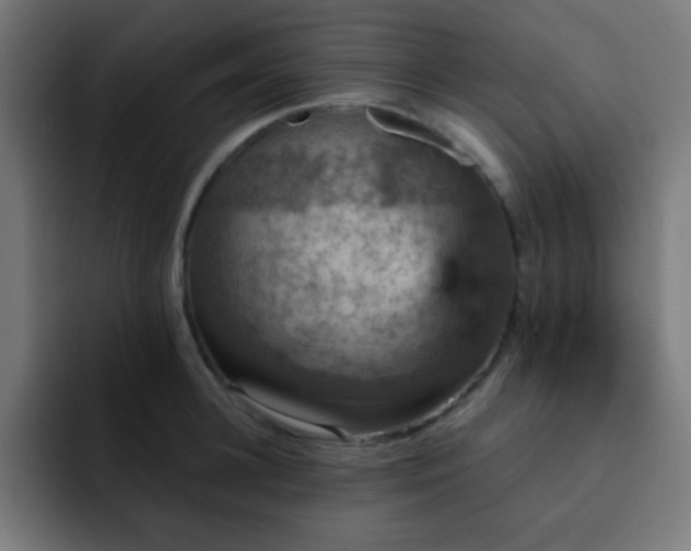 X0000093130948200710031349