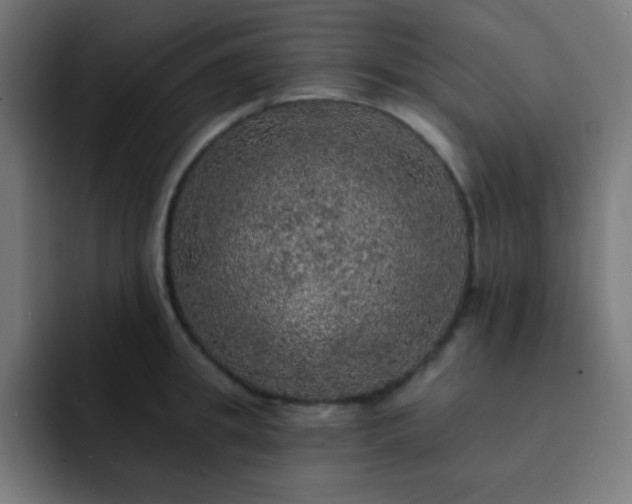 X0000093130949200710031349