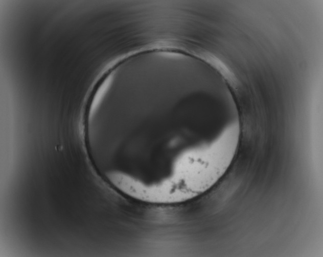 X0000093130950200710031349