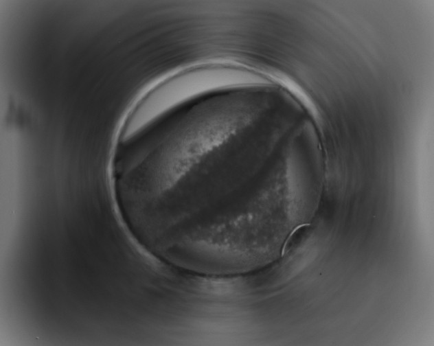 X0000093130951200710031349