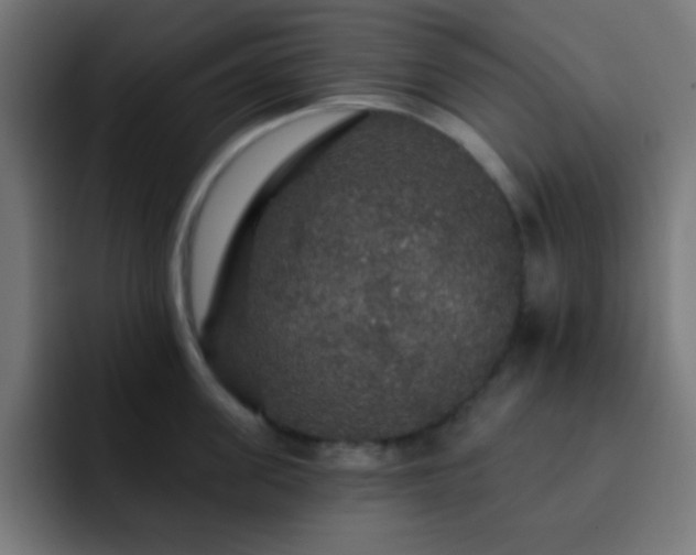 X0000093130955200710031349