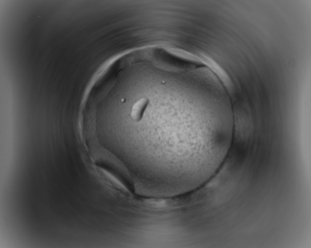 X0000093130956200710031349
