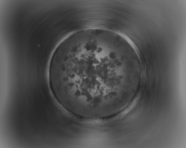 X0000093130957200710031349