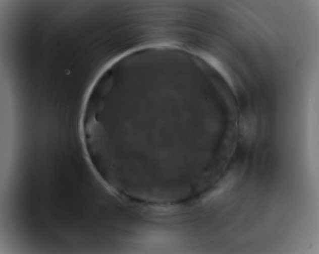 X0000093130959200710031349