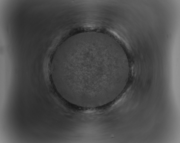 X0000093130961200710031349