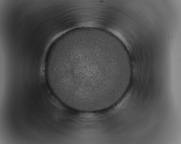 X0000093130971200710031349
