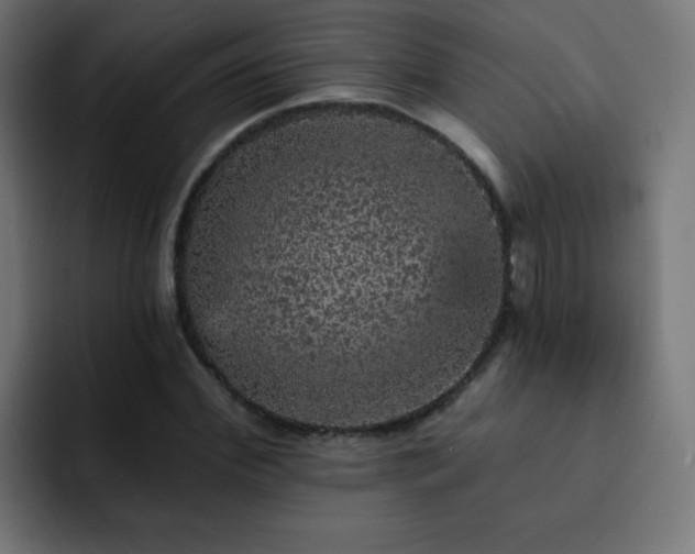 X0000093130972200710031349