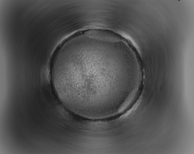 X0000093130973200710031349