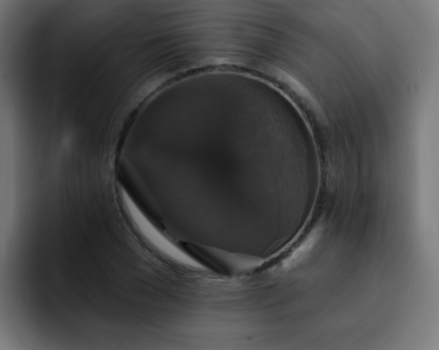 X0000093130977200710031349