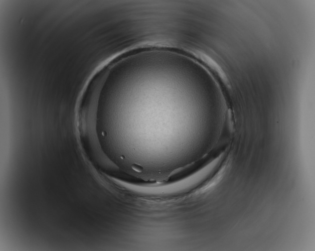 X0000093130981200710031349