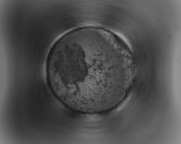 X0000093130983200710031349