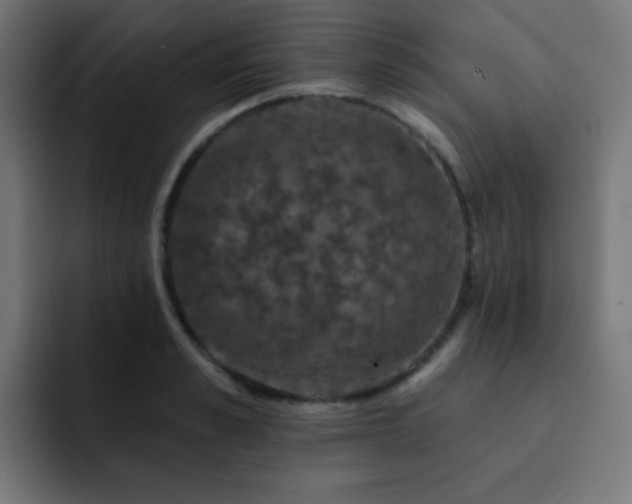 X0000093130989200710031348
