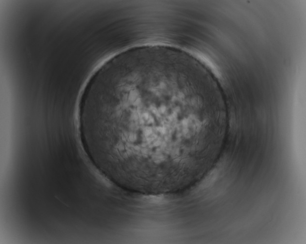X0000093130990200710031348
