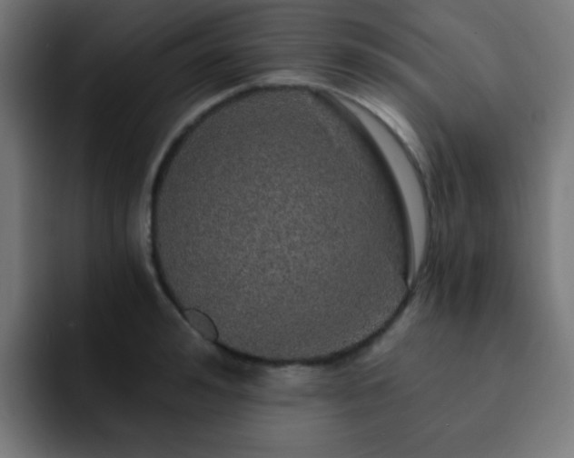 X0000093130992200710031348