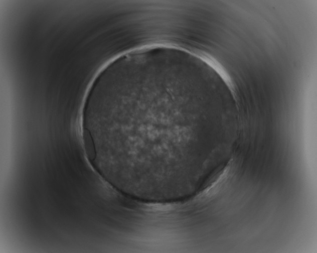 X0000093130996200710031348