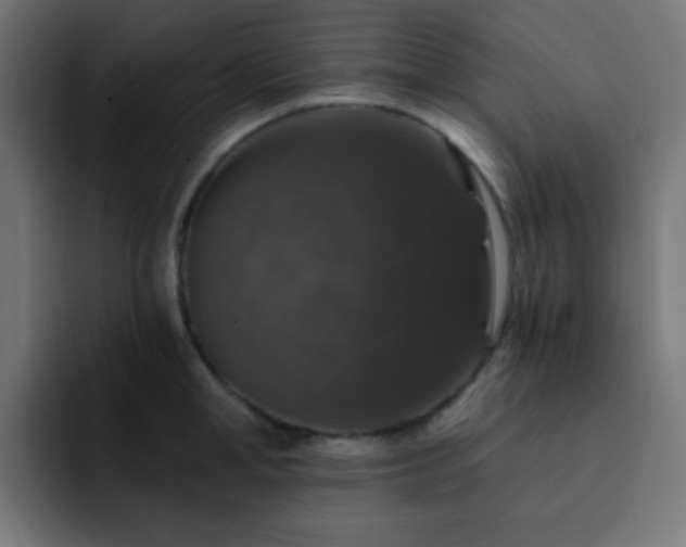 X0000093130998200710031348