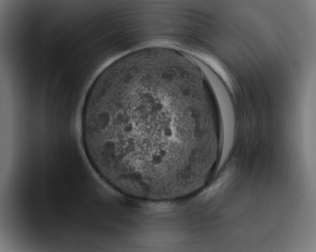 X0000093130999200710031348