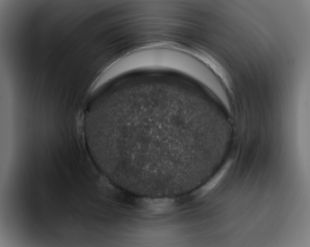 X0000093131001200710031348
