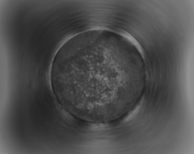 X0000093131002200710031348