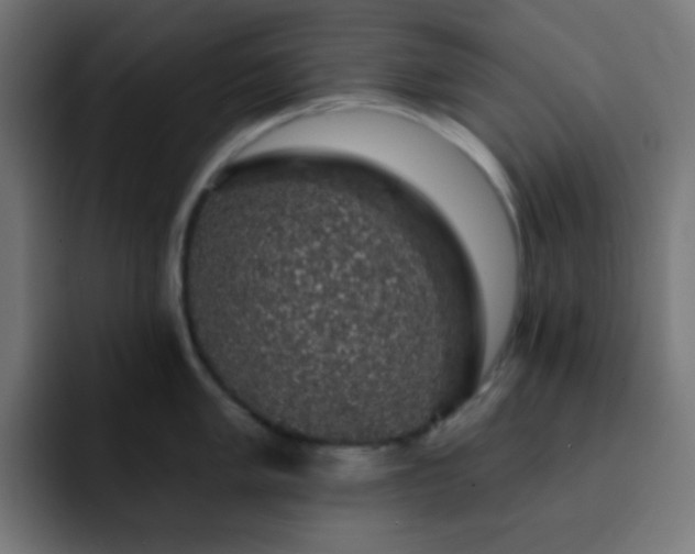 X0000093131005200710031348