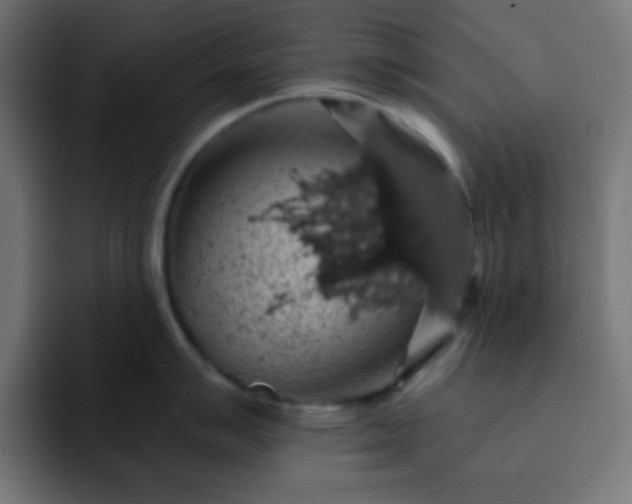X0000093131007200710031348