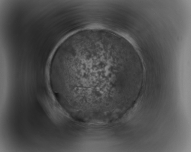 X0000093131008200710031348