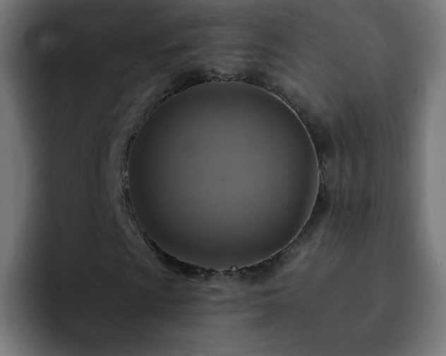 X0000093131009200710031348