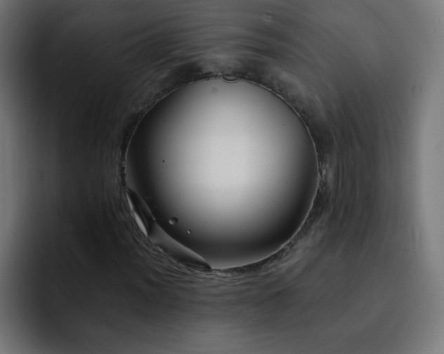 X0000093131012200710031348