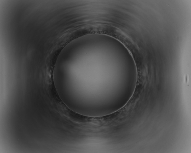 X0000093131013200710031348