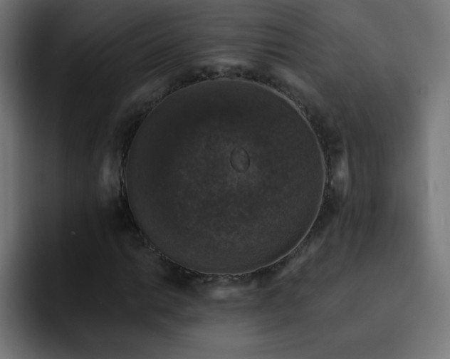 X0000093131014200710031348