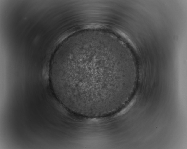 X0000093131017200710031348