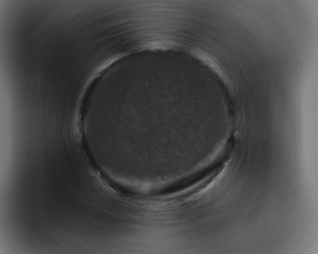 X0000093131018200710031348