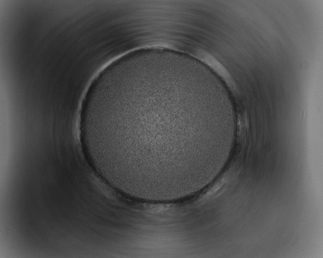 X0000093131020200710031348