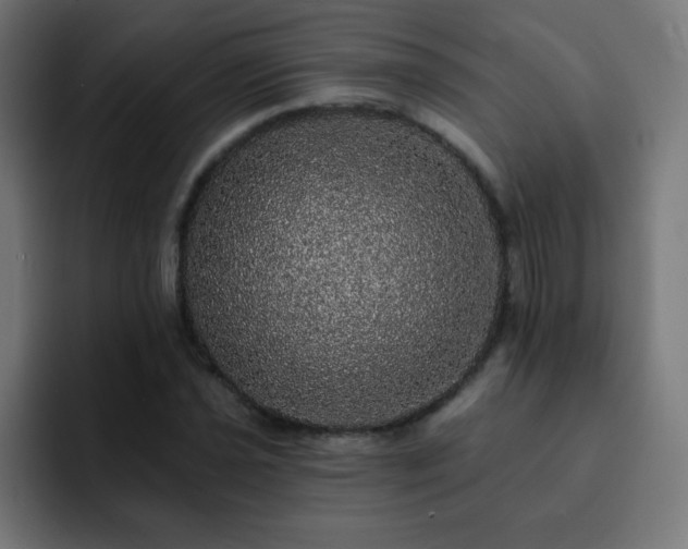 X0000093131021200710031348