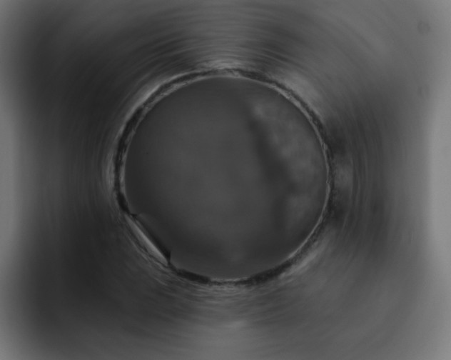 X0000093131023200710031348