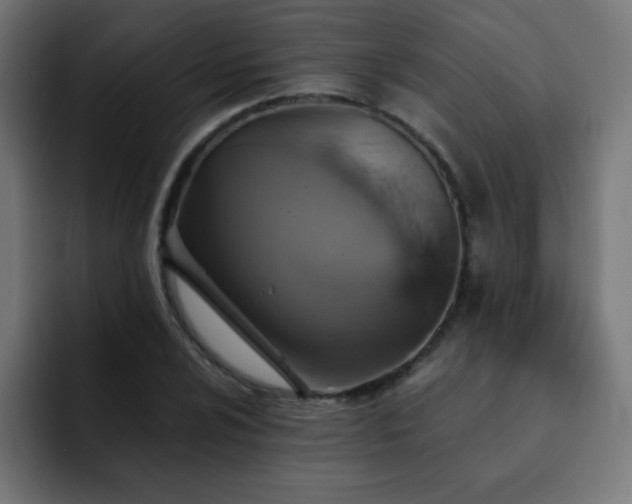 X0000093131024200710031348