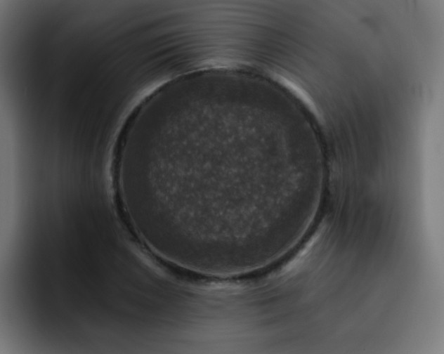 X0000093131026200710031348