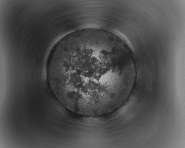 X0000093131027200710031348
