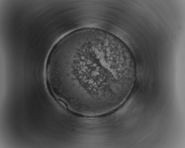 X0000093131028200710031348