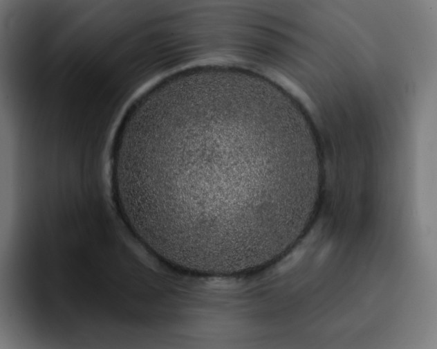 X0000093131029200710031348