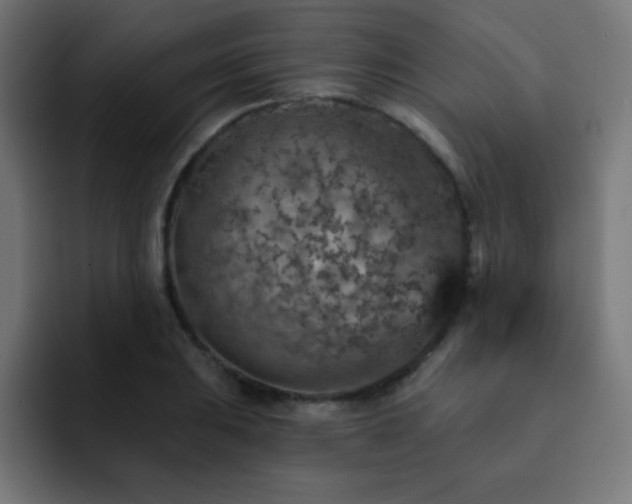 X0000093131031200710031348